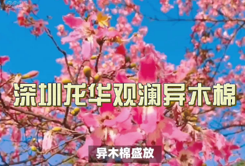 1732624822235297.png image.png